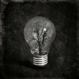 Igor Genovesi - The Tree