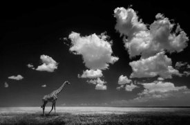 Alberto Ghizzi Panizza - Gone With The Clouds