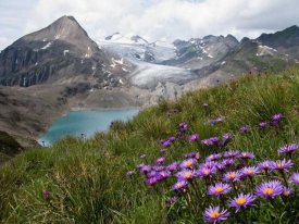 Vito Guarino - Corno Gries Switzerland