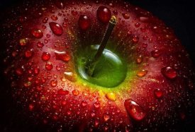 Aida Ianeva - Red Apple