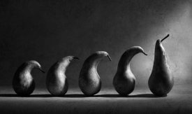 Victoria Ivanova - The Evolution