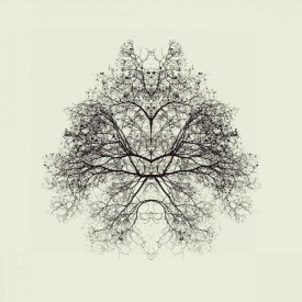 Nadav Jonas - Rorschach Test