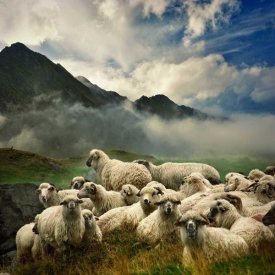 Istvan Kadar - The Silence Of The Lambs