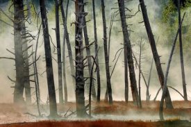 Jure Kravanja - Dead Wood