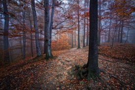 Izabela Laszewska-Mitrega and Darek Mitrega - I Was Lost I Was Found