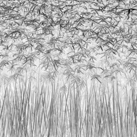 Jefflin Ling - Parallelism