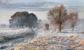 Roman Lipinski - Warmth - Cold