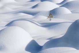 Victor Liu - Standing In The Waves