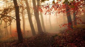 Leif Londal - Towards The Light.