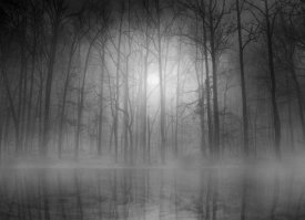Bethanne Lutz - Morning Mist