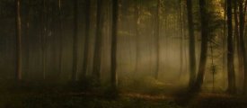 Norbert Maier - How Can Words Express The Feel Of Sunlight In The Morning