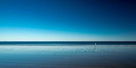 Harmeet Marwaha - The Blues