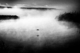 Miki Meir Levi - Untitled
