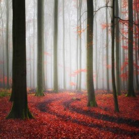 Carsten Meyerdierks - Autumnal Tracks