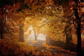 Ildiko Neer - Turn To Fall