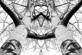 James K. Papp - Aspen Cathedral