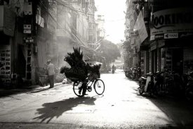 Diana Popescu - Early Morning