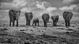 Marcel Rebro - Big Family