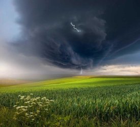 Franz Schumacher - June Storm