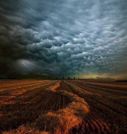 Franz Schumacher - Mammatus