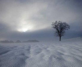 Franz Schumacher - Winter Impression
