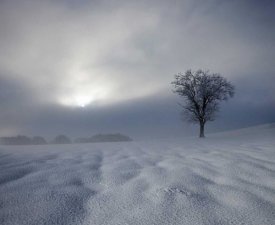 Franz Schumacher - Winter Impression