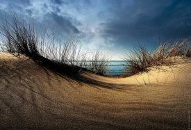 Wim Schuurmans - Dunes