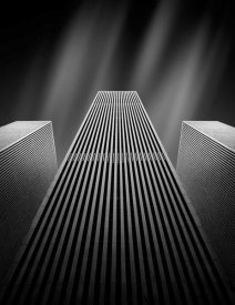 Olivier Schwartz - The W