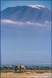 Jeffrey C. Sink - Kilimanjaro And The Quiet Sentinels
