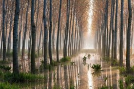 Raffaele Spettoli - Rains Of Spring