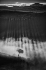 Peter Svoboda - Rising Up