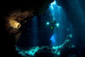 Csaba Tokolyi - The Explorer