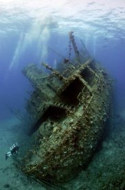 Dray Van Beeck - Giannis D Wreck.