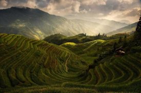 Max Witjes - A Tuscan Feel In China
