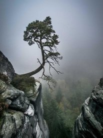 Andreas Wonisch - Against The Odds