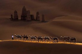 Mei Xu - Castle And Camels