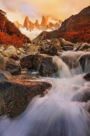 Yan Zhang - Autumn Impression