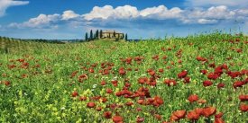 Frank Krahmer - Farm house with cypresses and poppies, Tuscany, Italy