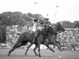 Anonymous - Polo players, Argentina