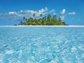 Frank Krahmer - Tropical lagoon with palm island, Maldives