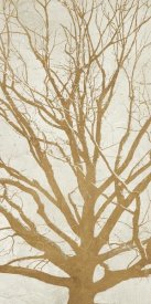 Alessio Aprile - Golden Tree II