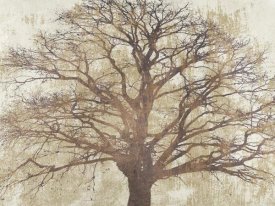 Alessio Aprile - Sacred Oak