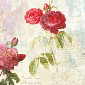 Eric Chestier - Redoute's Roses 2.0 II