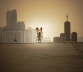 Biduri Chang-Hwan Park - Be With You