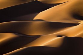 Mohammadreza Momeni - Light And Shadow