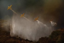 Antonio Grambone - Cilento National Park The Scene That Unfortunately Is Repeated Almost Every Year In Summer