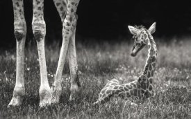 Andreas Feldtkeller - Well Protected