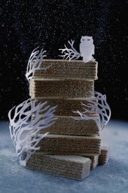 Dina Belenko - Snowy Owl (Powdered Sugar)