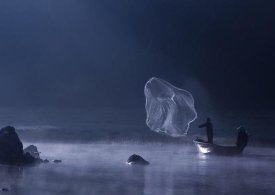 Nunu Rizani - Capture The  Light