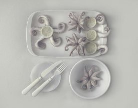 Dimitar Lazarov - Octopus 2